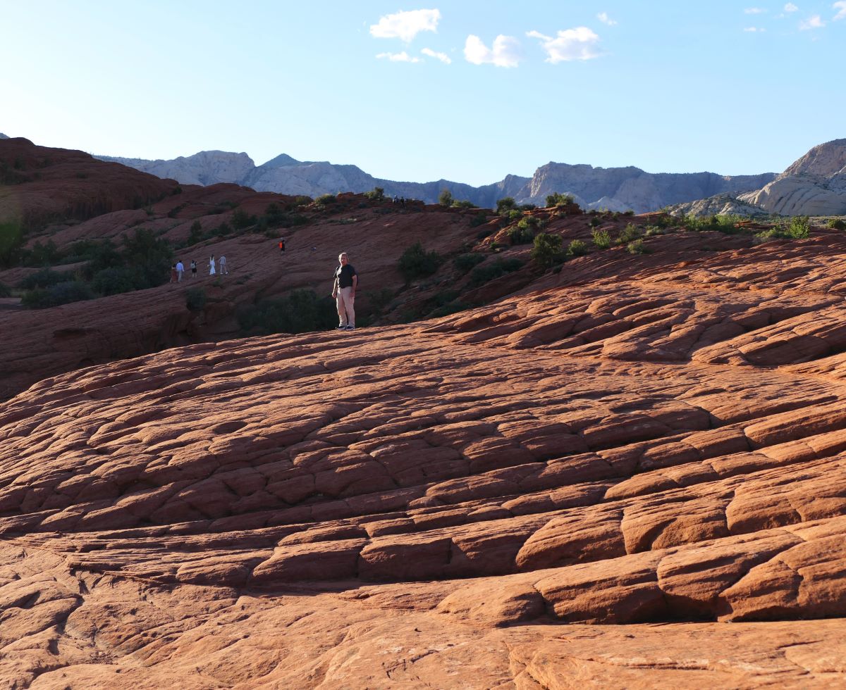Snow Canyon State Park, Utah, has unique desert scenery, including swirling, petrified sand dunes.