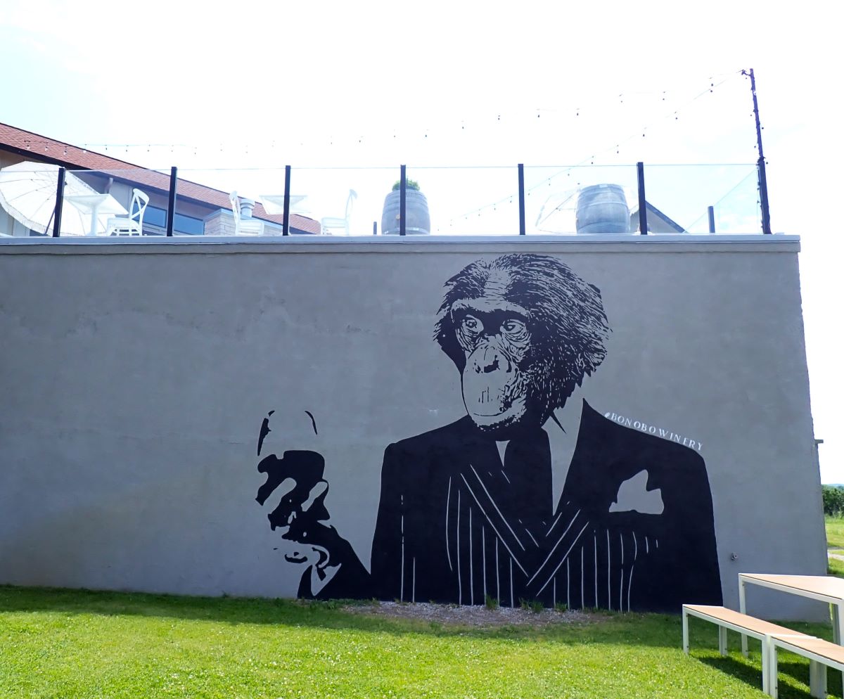 Iconic bonobo mural below the winery's spacious deck