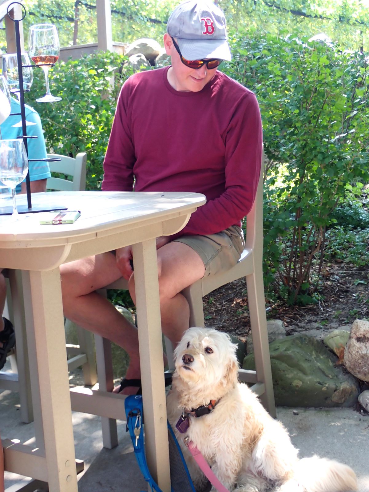Dogs are welcome on the patio at Bowers Harbor Vineyards