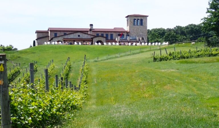 Old Mission Peninsula Wine Trail: 11 Must-Visit Wineries in Traverse City