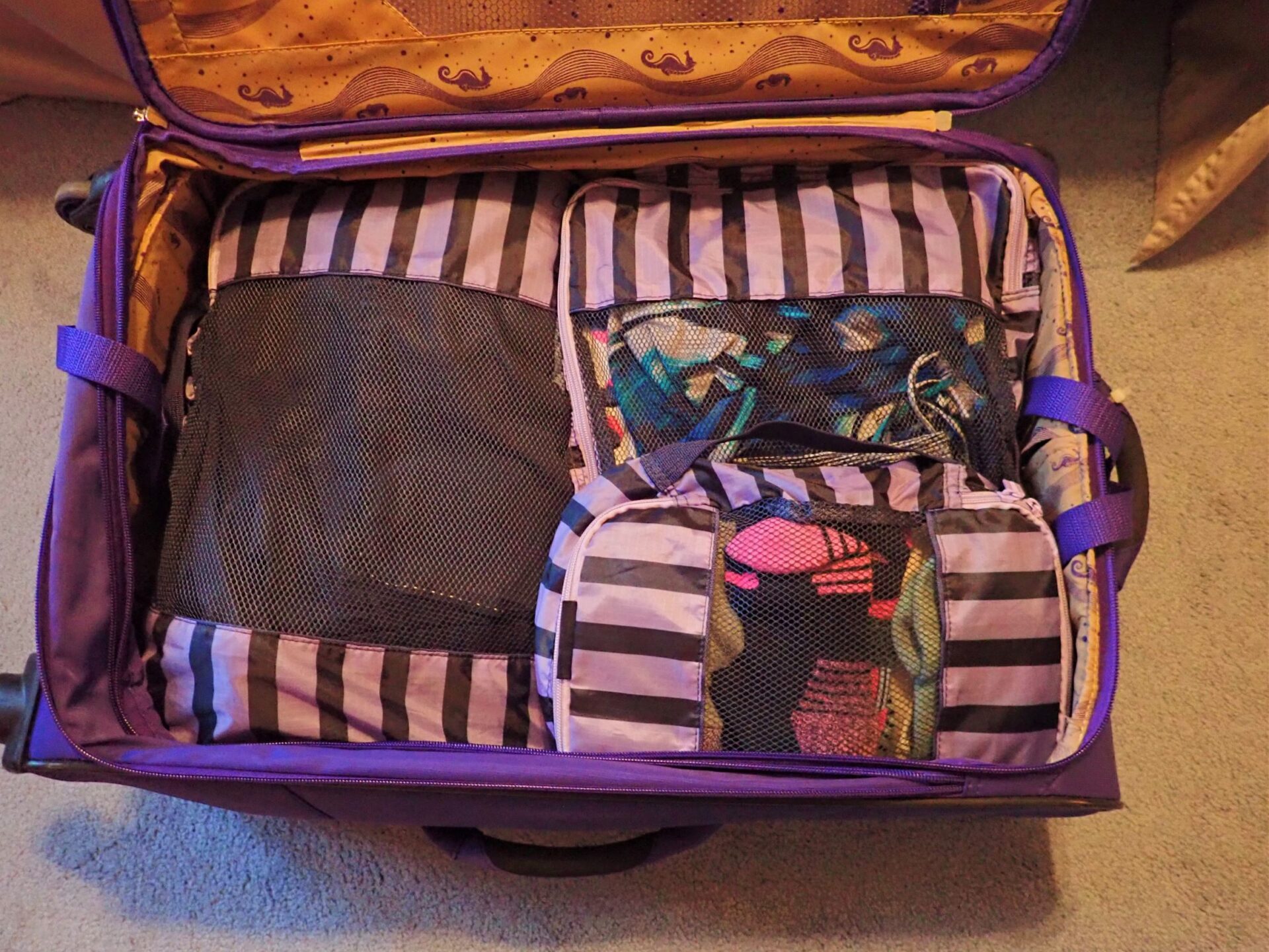 I always carry an extra change of clothes in a packing cube in my carry-on in case my checked bag gets delayed.