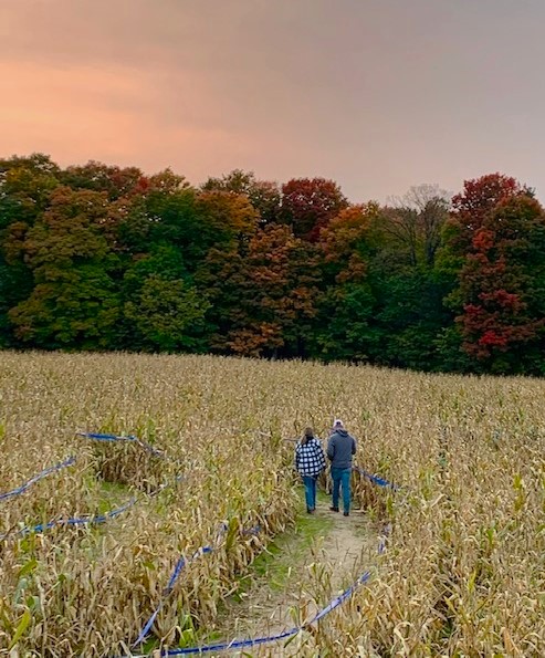 Walking through the corn maze at Jacob's Farm is one of the best things to do in Traverse city in fall!