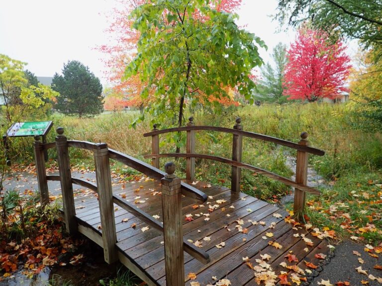 Best Things to Do in Traverse City in Fall: Ultimate Guide to Autumn Adventures