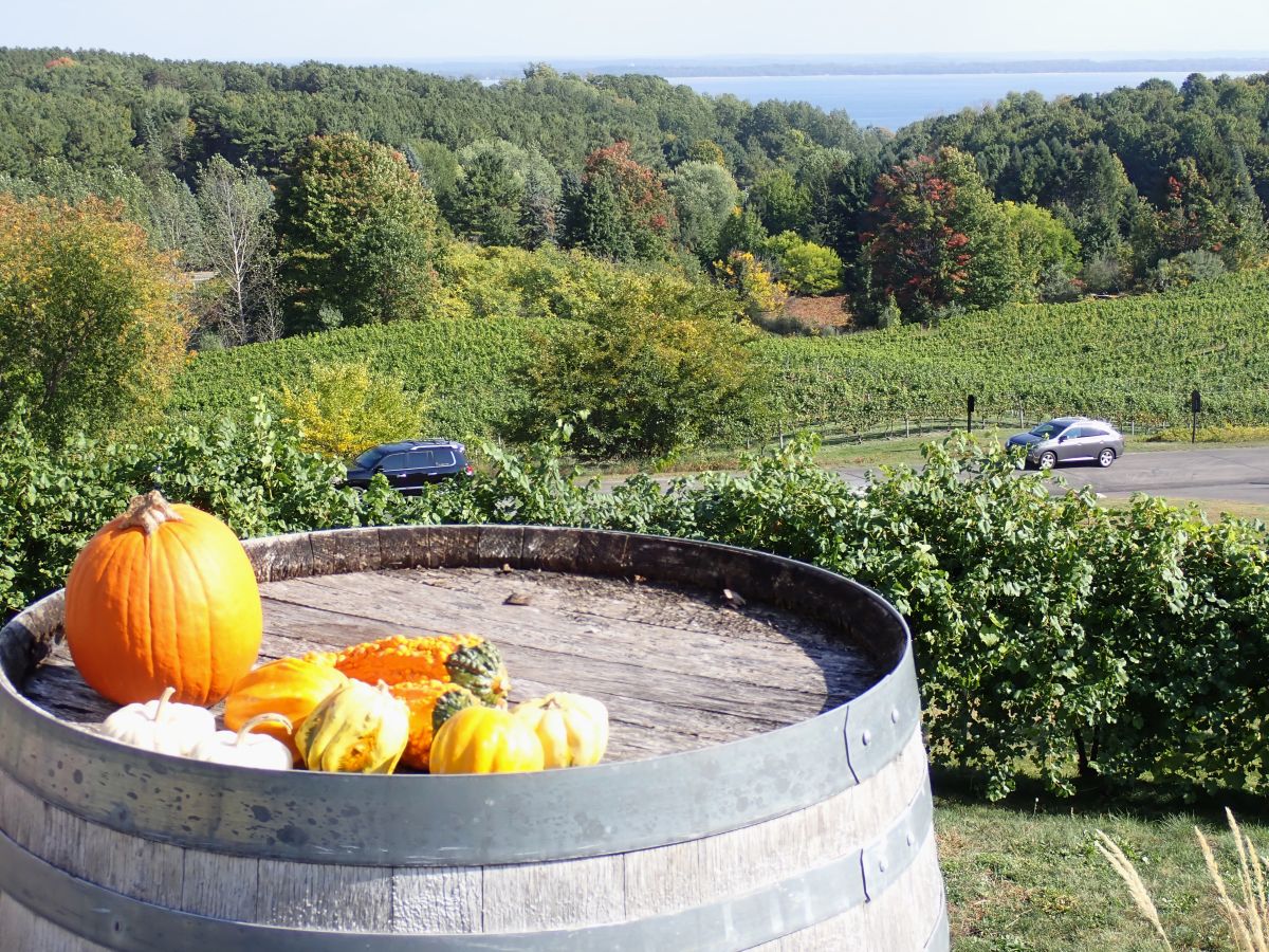 Old Mission Peninsula Drive is a beautiful route for a fall color tour in Traverse city.