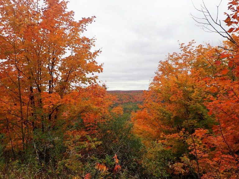Best Fall Color Drives Near Traverse City