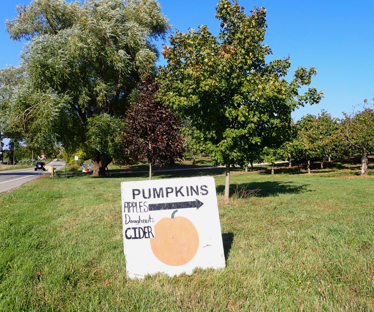 Entrance sign to Cory Holman's Pumpkin Patch