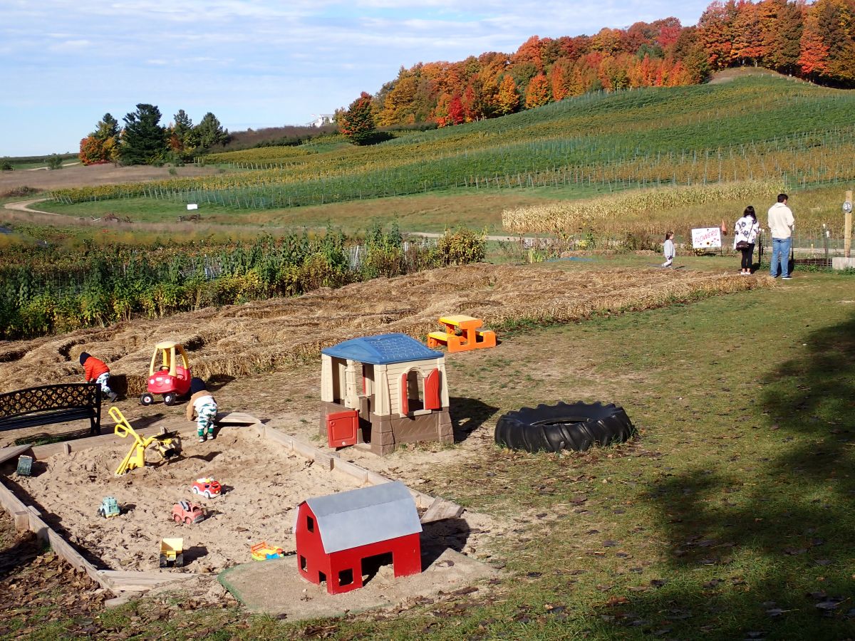 Kids enjoying the play area at Gallagher's Farm Market