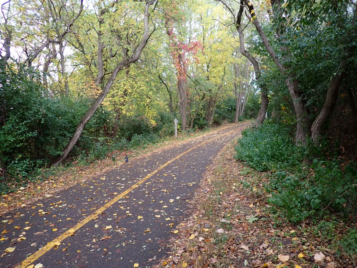 The Boardman Loop trail in Traverse city is great for hiking or biking.