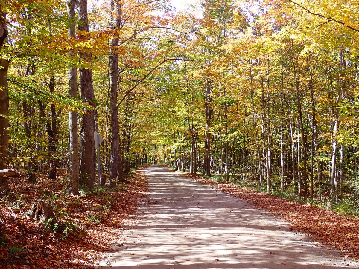 The Pierce Stocking Scenic Drive is one of the best fall color drives near Traverse City