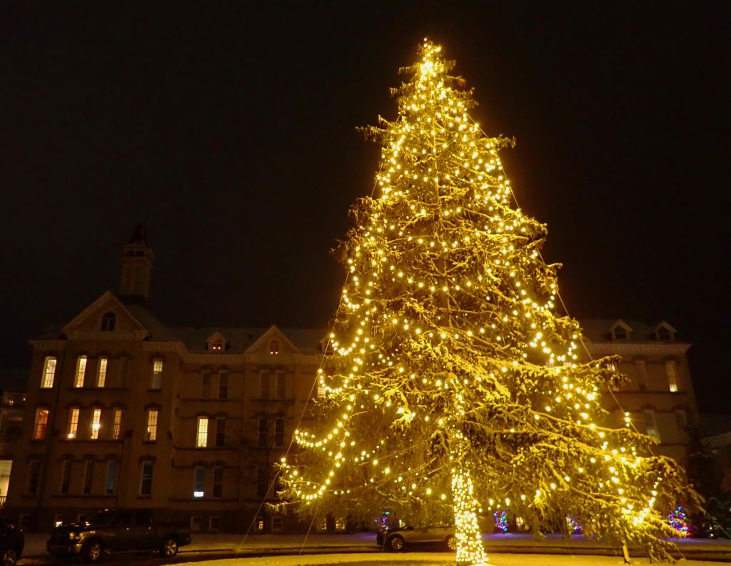 Christmas tree at the Grand Traverse Commons