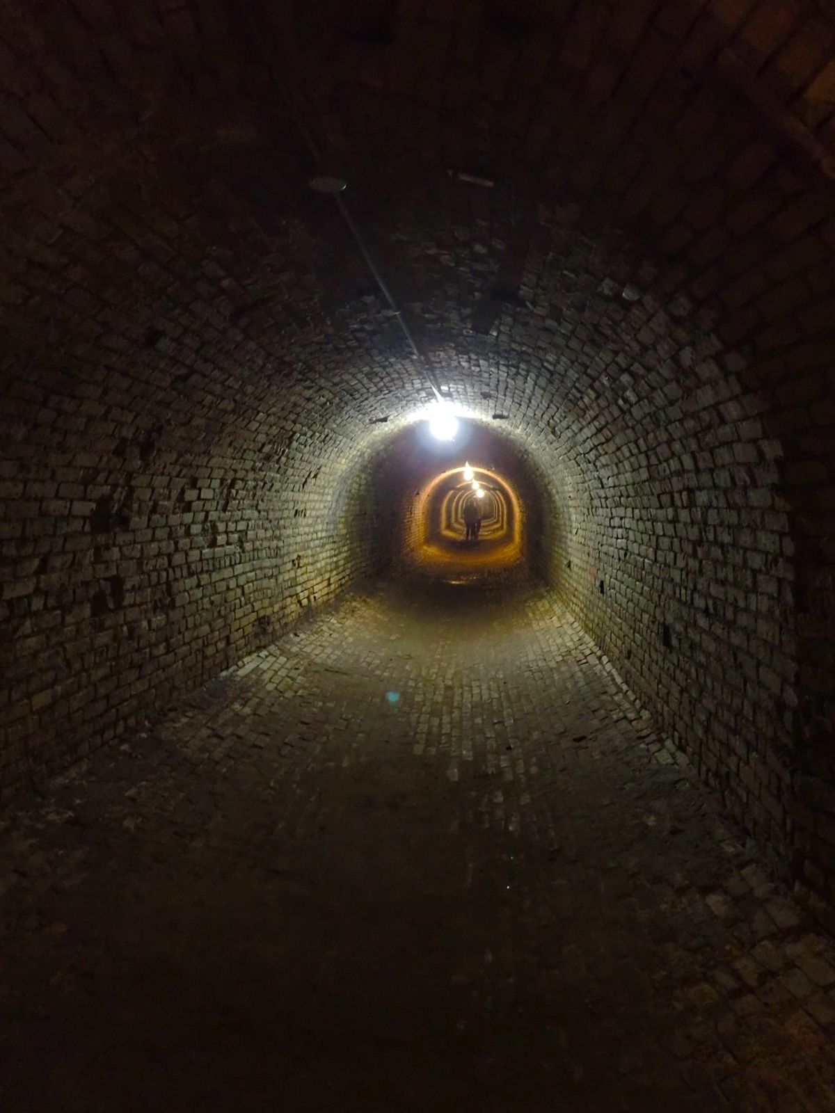 Steam tunnel tour at the Grand Traverse Commons.