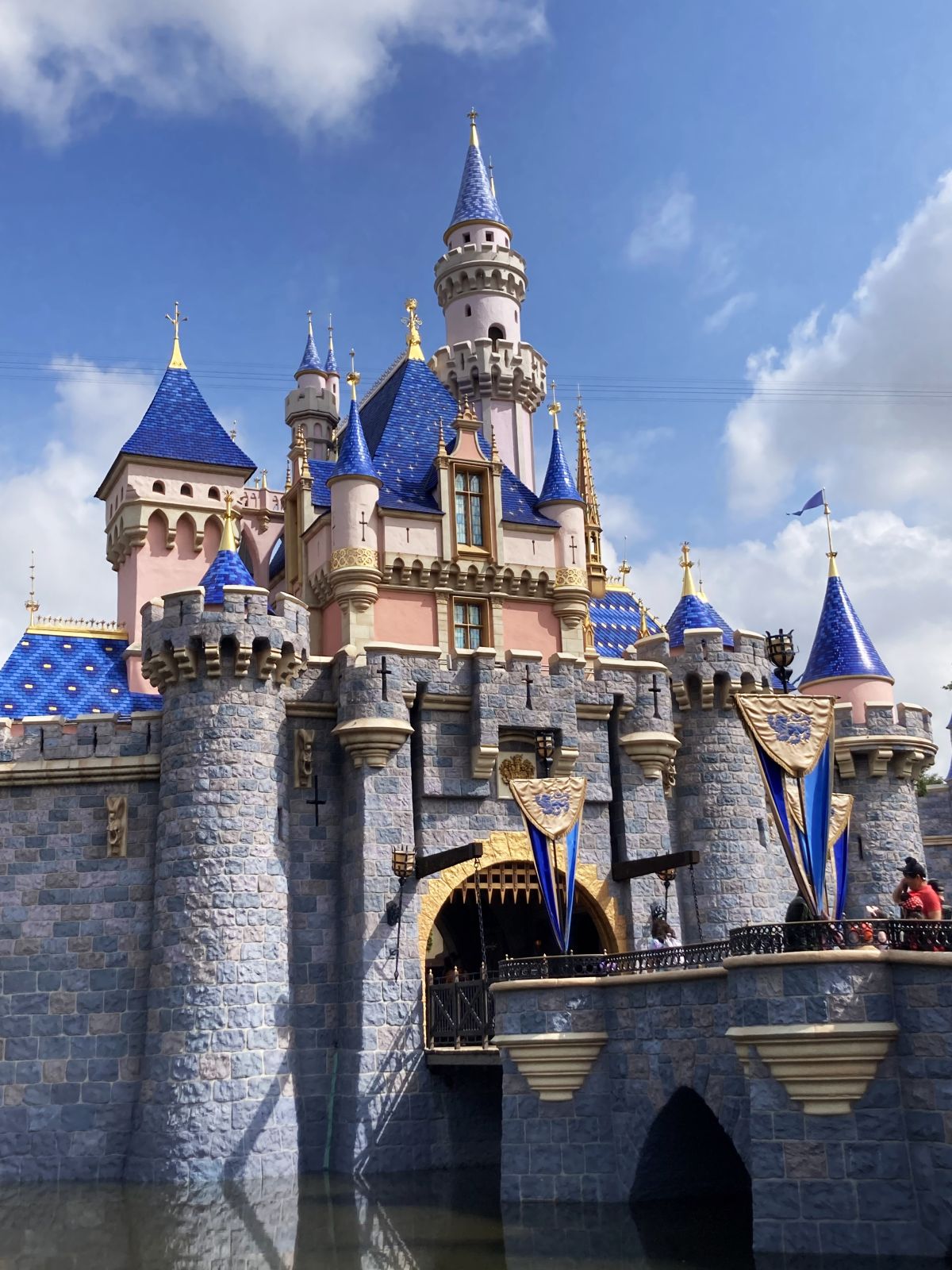 Cinderella's Castle in Disneyland