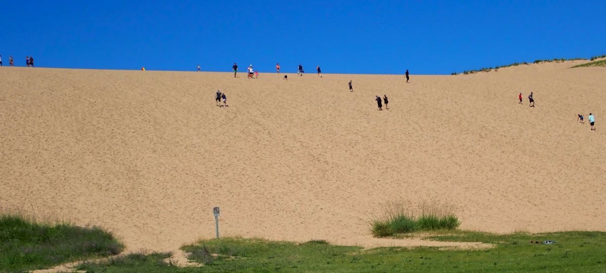 The iconic Dune Climb at Sleeping Bear Dunes National Lakeshore.
