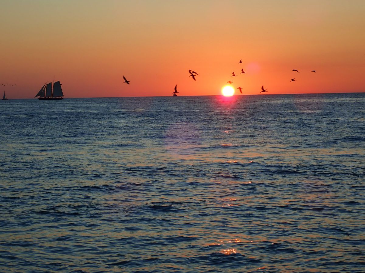 Watching the sunset in Key West
