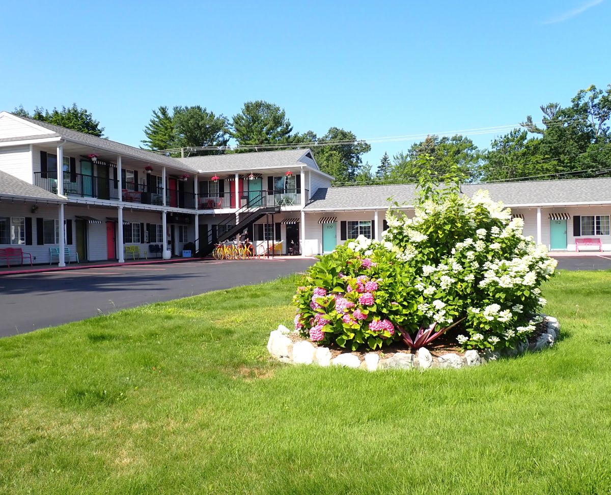 The Sierra Motel is a colorful, family-owned motel that offers a budget-friendly stay combining vintage charm with beautifully renovated guest rooms.