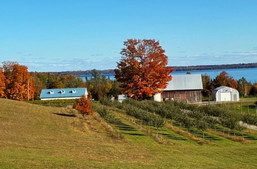 View of West Grand Traverse Bay from the patio at 2K Ciders