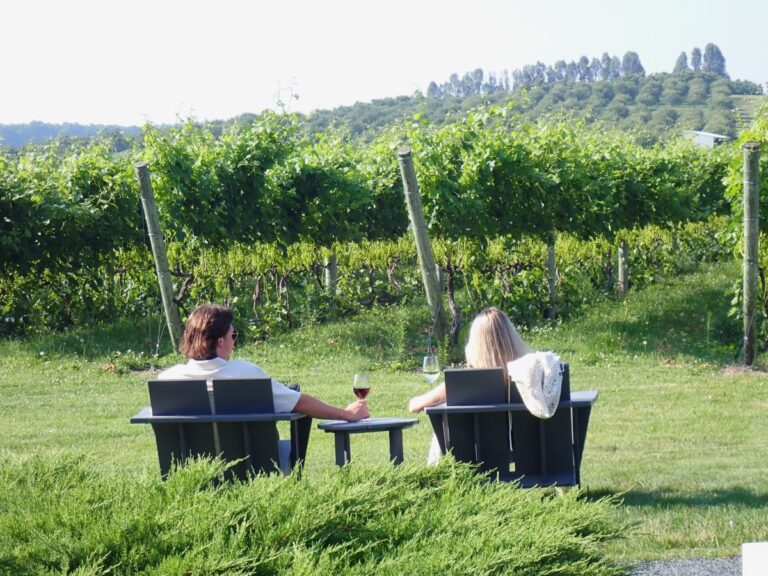 Leelanau Peninsula Wine Trail Guide: The Best Wineries in Northern Michigan