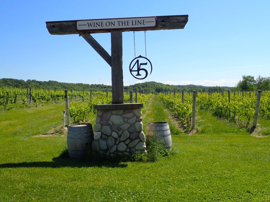 Take a selfie at the The Wine on the Line sign in the vineyards of 45 North Winery. The sign is on the 45th parallel, halfway in between the equator and the North Pole.