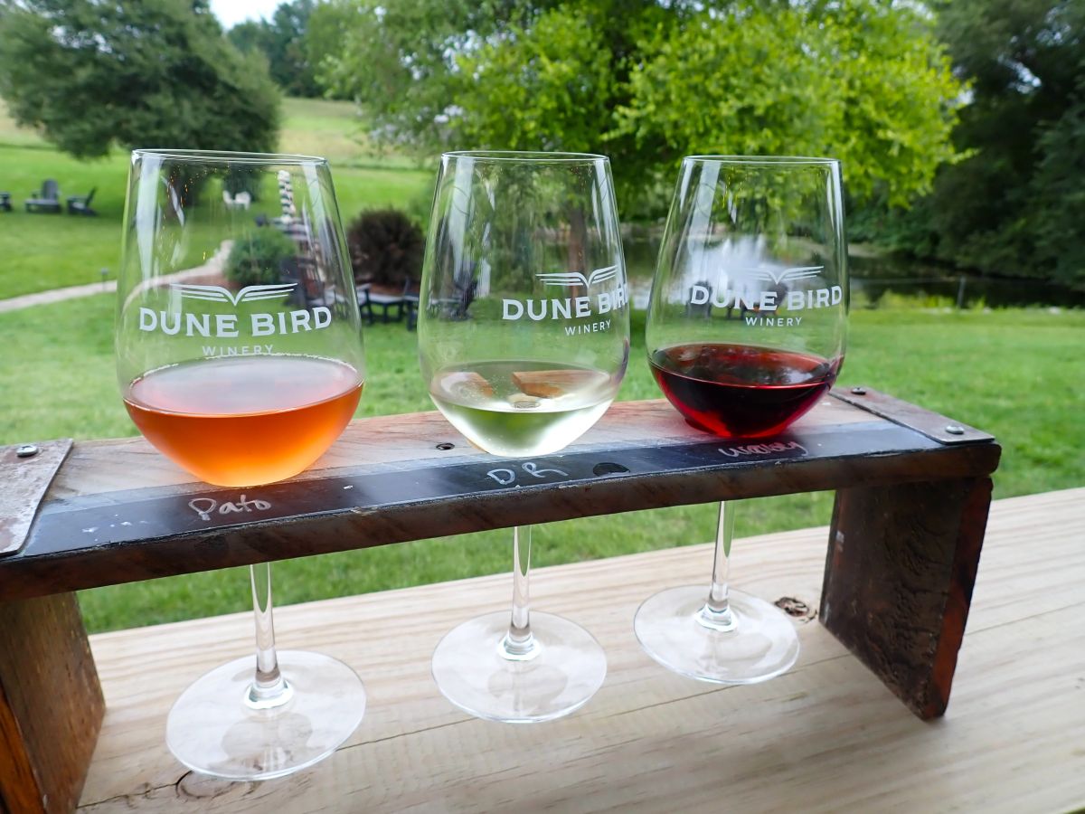 Enjoy a tasting flight on Dune Bird's outdoor patio. This flight shows Pato Pet Nat, Dry Riesling and Woolsey Red.