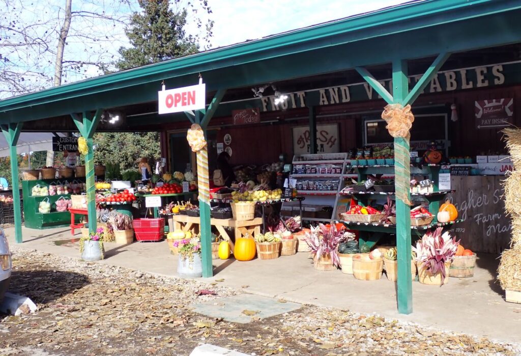 In fall, Gallagher's Farm Market will have plenty of plenty of squash, apples, grapes, kale, lettuce, onions and potatoes for sale.
