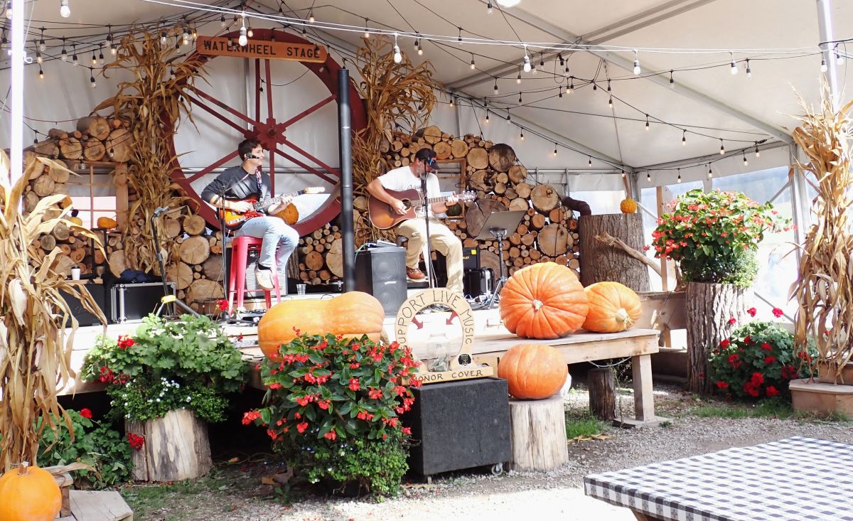Pond Hill Farm has live music on the weekends during the fall.