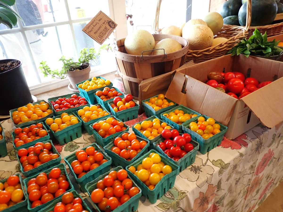 Fall  produce available for sale at Providence Organic Farm
